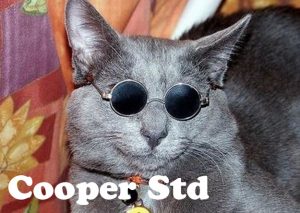 Cooper Std