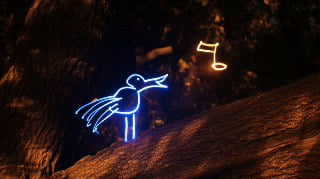 Işık Animasyonu Sihirli Orman