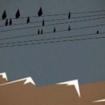 Three and a Half Seconds About Life