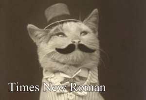 Times New Roman